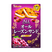 オールレーズンサンド・ホワイトチョコ