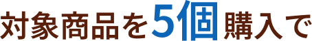 対象商品を5個購入で