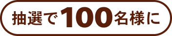 抽選で100名様に