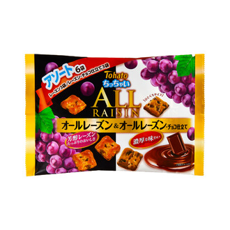 ６Ｐちっちゃいオールアソート レーズン＆レーズン・チョコ仕立て