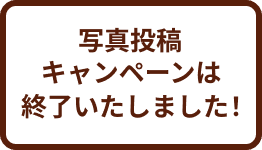 写真投稿キャンペーンは終了いたしました！