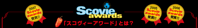 スコヴィーアワードとは？2005年scovieawards受賞2006年scovieawards受賞