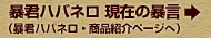 現在の暴言