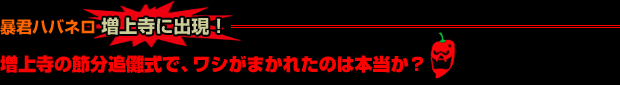 暴君ハバネロ 増上寺に出現 !