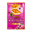 オールレーズンサンド・ホワイトチョコ