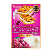 オールレーズンサンド・ホワイトチョコ