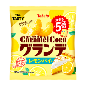 250616_CARA_01_g.png